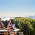 Waiheke island wine tours