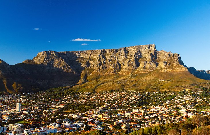 How to Enjoy Your Cape Town Tour Easily