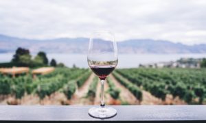Guide to Victorian Wineries: The Best Ones to Visit