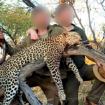 hunting safaris in South Africa