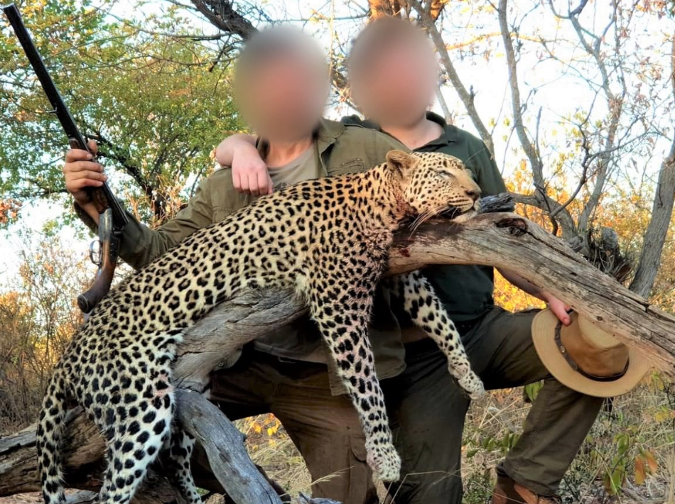 Hunting Safaris in South Africa: Information about Animals, Guides & Cost