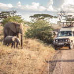 Serengeti Safaris