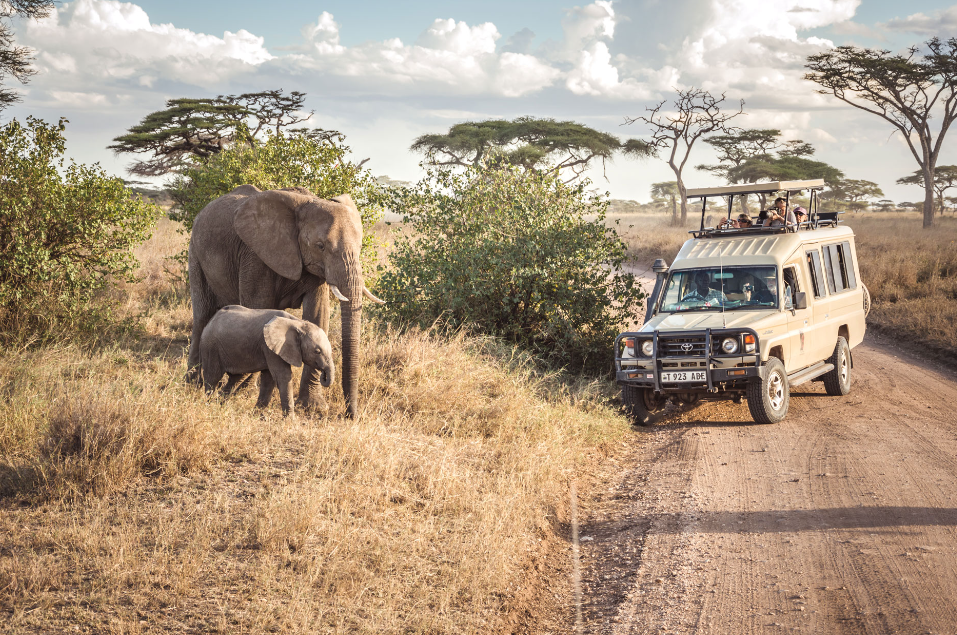 Serengeti Safaris