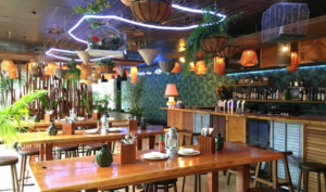 Thai Restaurants in Takapuna: Top 4 Dishes Worth Trying Out