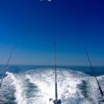 fishing charter in Auckland