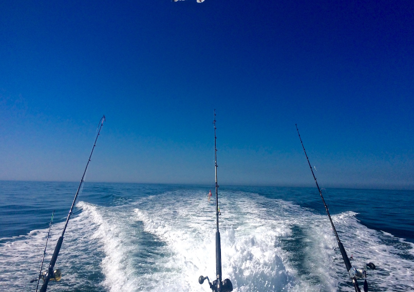 fishing charter in Auckland