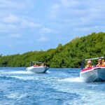 Boat Tour in Mauritius