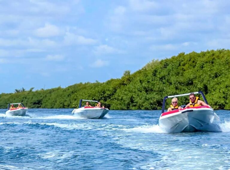 Why You Should Travel as a Group for a Boat Tour in Mauritius