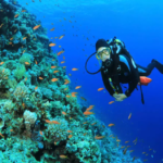 scuba diving adventure