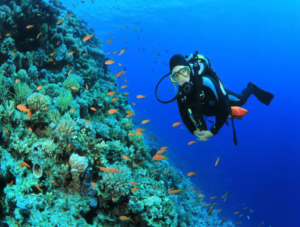Planning Your Ultimate Scuba Diving Trip to Grand Cayman: Tips and Tricks