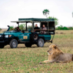 Botswana safari holidays