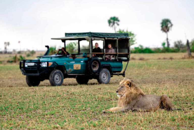 Why Botswana Safari Holidays Are a Must-Experience?