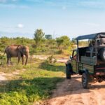 luxury African safari tour