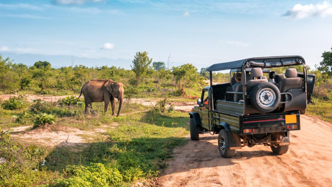 luxury African safari tour