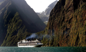 Places to Visit in South Island: From Stunning Hikes to Tree Top Walks