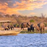 Southern Africa’s Safari Destination