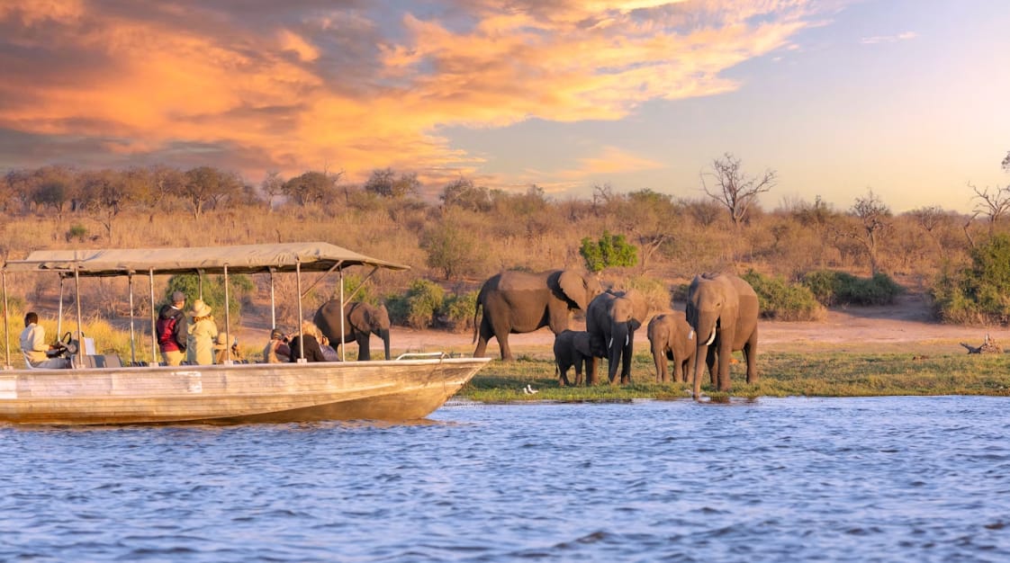 Exploring the Wonders of Southern Africa’s Safari Destination