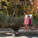 Botswana Family Safaris